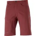Salomon Wayfarer Shorts