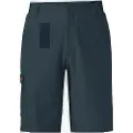 Vaude Bike Tremalzo Iv Shorts