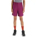 Icebreaker Hike Shorts