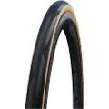 Schwalbe Pro One Evolution Super Race Tubeless 26´´ X 28 Urbandekk