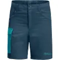 Jack Wolfskin Active Shorts