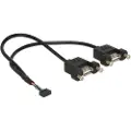 DeLOCK - Intern-til-ekstern USB-kabel - 10-pins USB-kontakt (hunn) til USB (hunn) - 25 cm - svart