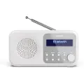 Sharp Tokyo DR-P420 - Bærbar DAB-radio - blomsterrosa