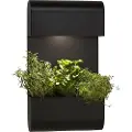 PR Home PR HomeVegglampe PlantaSvartDekorbelysningFra Homeroom