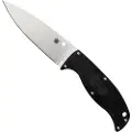 Spyderco Enuff 2 Leaf Shape kniv