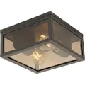 QAZQA Taklampe sort med røykglass 2-lys IP44 - Charlois