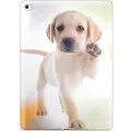 Mtp Products iPad 10.2 2019/2020/2021 TPU-deksel - Hund