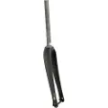 Ritchey Wcs Carbon Tapered Adventure 12x100 Mm Veikgaffel