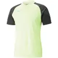 Puma Individualcup Kortarmet T-skjorte