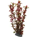 Usorteret Dohse Rotala, 30 cm