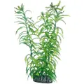 Usorteret Dohse Heteranthera, 25 cm
