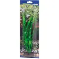 Usorteret Dohse Crinum, 29 cm