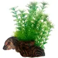 Dohse Flora Root 3, S, 17 cm