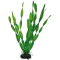 Dohse Vallisneria douche, 34 cm