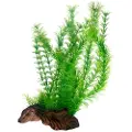 Usorteret Dohse Flora Root 3, L, 30 cm