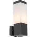 QAZQA Moderne utendørs vegglampe mørk grå med opal - Malios