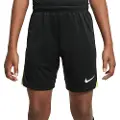 Nike Dri-fit Acdprk Big Shorts