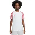Nike Dri-fit Academy Kortarmet T-skjorte