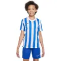 Nike Dri Fit Division 4 Striped Kortarmet T-skjorte