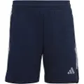 Adidas Tiro23l Shorts