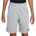 Nike Park Fleece Shorts