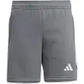 Adidas Tiro23l Shorts