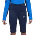 Nike Dr1369 Shorts