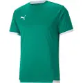Puma Teamliga Kortarmet T-skjorte