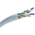 Extralink Ex.19713 Cat5e-nettverkskabel 100 M