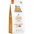 Brit Care Care Dog Hypoallergenic Junior Large Breed, Lamb, 12 kg