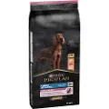 Purina Pro Plan Økonomipakke: 2 eller 3 poser Pro Plan til sparepris! - Large Athletic Adult Sensitive Skin OPTIDERMA Salmon (2 x 14 kg)