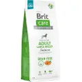 Brit 8595602558896, Voksen, Medium (11 - 25 kg), Potet, Laks, 12 kg