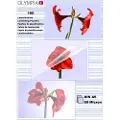 Olympia - A5 (148 x 210 mm) 100 stk laminert teip