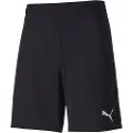 Puma Teamfinal 21 Knit Shorts