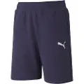 Puma Teamgoal 23 Casuals Shorts