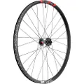 Dt Swiss Fr 1500 Classic 30 29´´ Disc Tubeless Terrengsykkel Forhjul