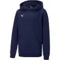 Puma Teamgoal 23 Casuals Hetteskjorte