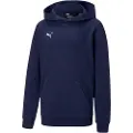 Puma Teamgoal 23 Casuals Hetteskjorte