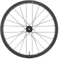 Giant Slr 1 36 Disc Tubeless Landeveissykkelens Bakhjul