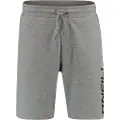 O'Neill Logo Shorts