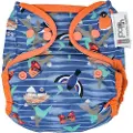 CLOSE CABOO Lukk Caboo bleier Trekk, gjenbruksbleie Pop-in AIO Twilight Garden med trykknapper 4,5-16 kg, 1 stk.