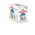 Royal Canin Indoor Sterilized, Voksen, Alle hunderaser, Kjøtt, Grønnsaker, 12x85 g