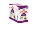 Royal Canin Sensory Smell i saus - 48 x 85 g