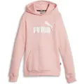 Puma Ess Logo Fl G Hetteskjorte
