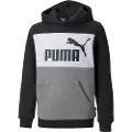 Puma Essentials+ Colorblock Fl Collegegenser