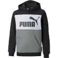Puma Essentials+ Colorblock Fl Collegegenser