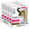 Perfect Fit Adult 1+ rikt på laks - 5 x 1,4 kg