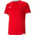 Puma Teamliga Kortarmet T-skjorte