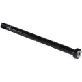 Specialized Mtn Boost Bolt On 5 Mm Hex M12x1.0px175.5 Mm Gjennomgående Aksel Bak