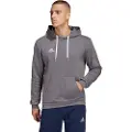 Adidas Entrada 22 Hetteskjorte